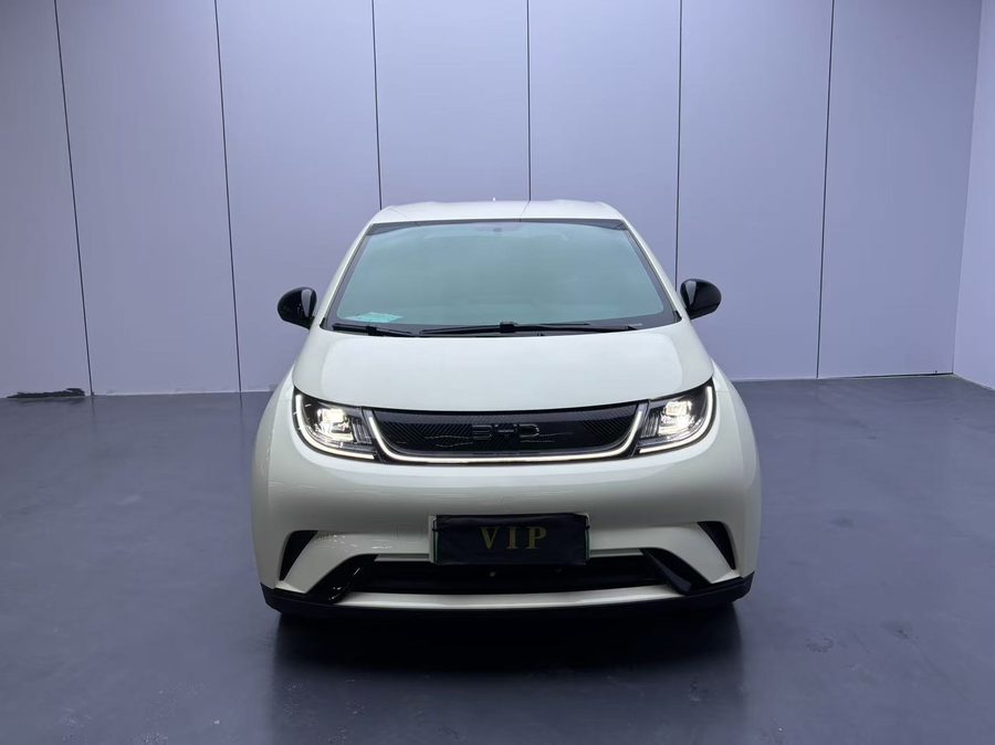 2025款 海豚 420km 活力版 多角度实拍