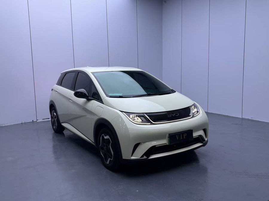 2025款 海豚 420km 活力版 多角度实拍
