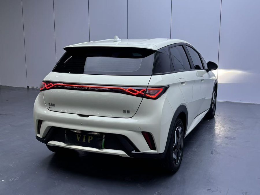 2025款 海豚 420km 活力版 多角度实拍