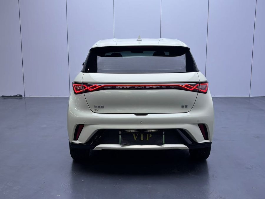 2025款 海豚 420km 活力版 多角度实拍