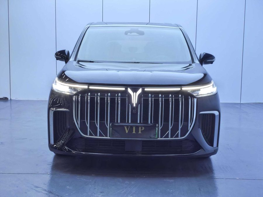 2022款 岚图梦想家 低碳版 梦+智享包 多角度实拍